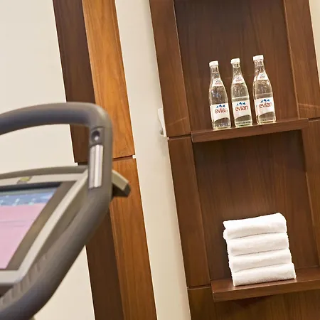 Hotel Pullman 4*