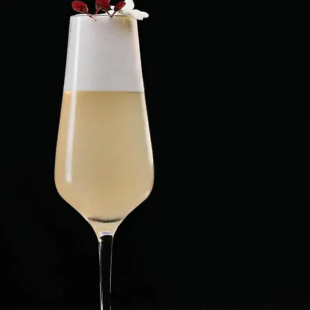 호텔 풀맨 콜론 쾰른