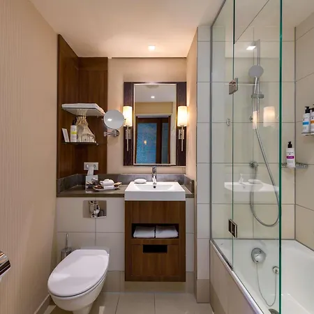 Hotel Pullman 4*