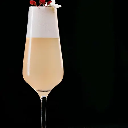 酒店 铂尔曼科隆酒店 科隆