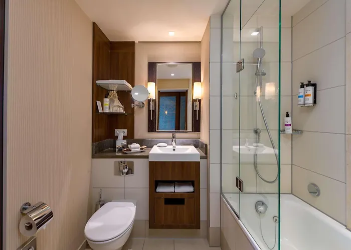 Pullman Hotel 4*