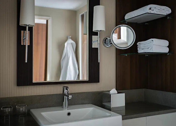 酒店 铂尔曼科隆酒店